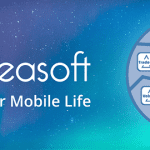 Piceasoft_Services