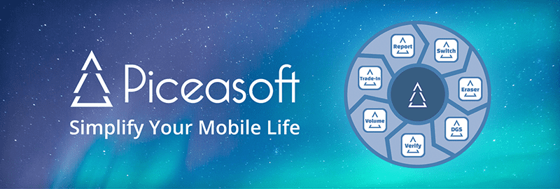 Piceasoft_Services